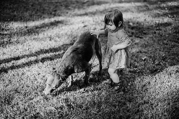 untitled-280-2