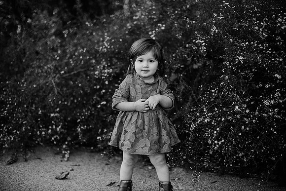 untitled-379-2