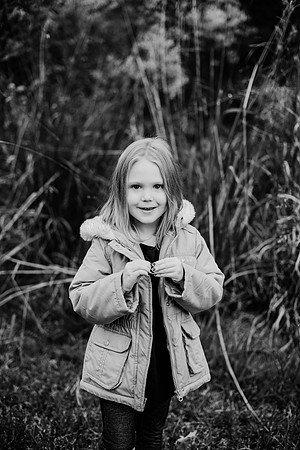 untitled-254-2