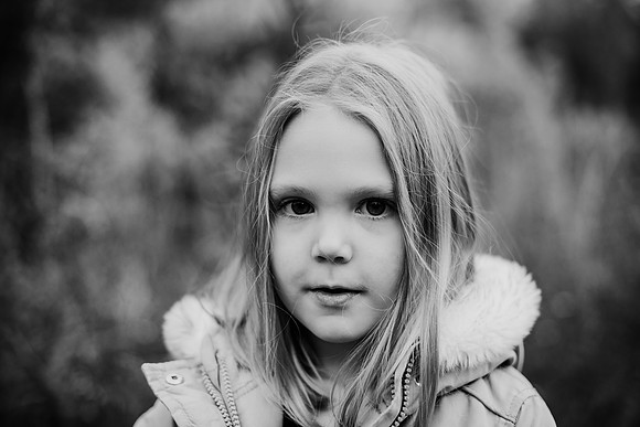 untitled-239-2