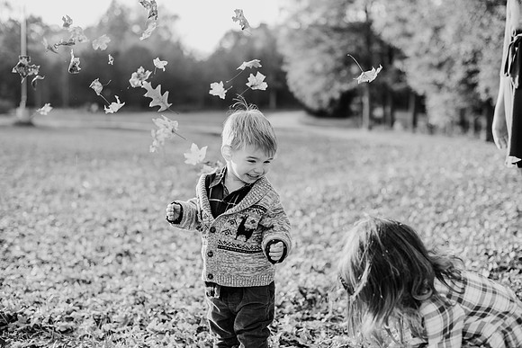 untitled-517-2