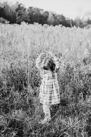 untitled-338-2