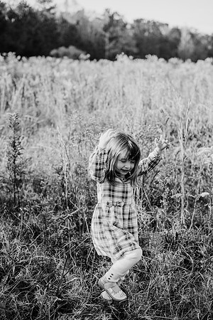 untitled-335-2