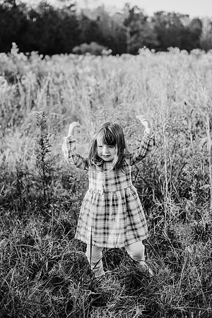 untitled-334-2