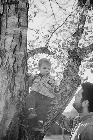 untitled-561-2