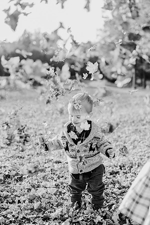 untitled-548-2