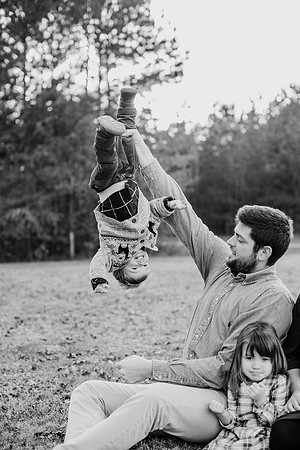 untitled-390-2