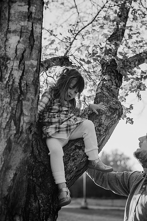 untitled-565-2