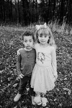 untitled-233-2