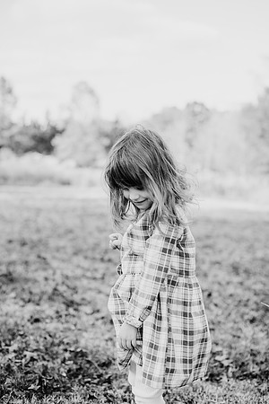 untitled-266-2
