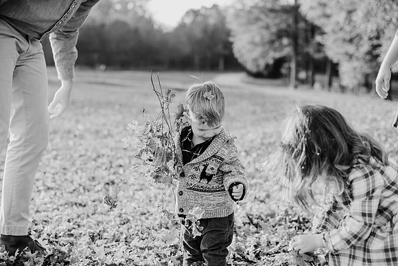 untitled-527-2