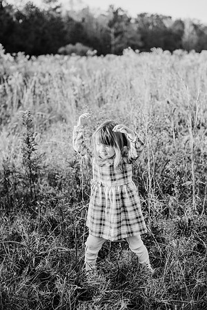 untitled-333-2