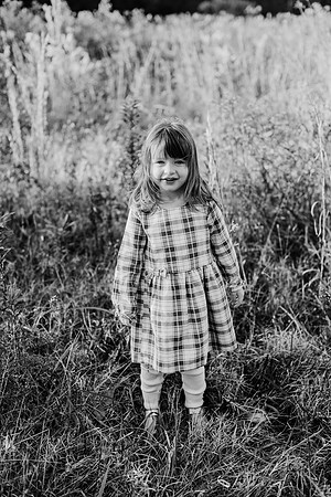 untitled-329-2