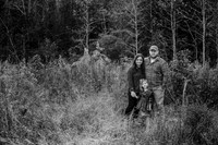 untitled-709-2