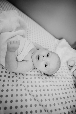 untitled-239-2