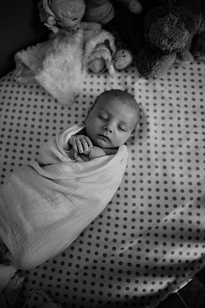 untitled-181-2
