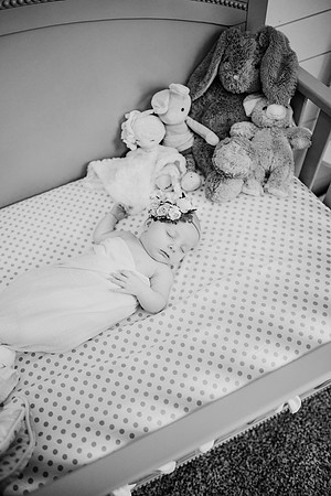 untitled-215-2