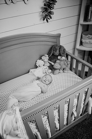 untitled-206-2