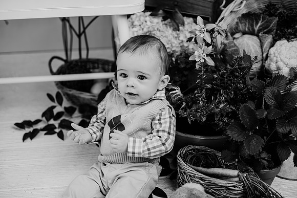 untitled-1207-2