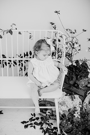 untitled-489-2