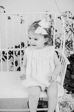 untitled-527-2