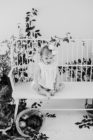untitled-243-2