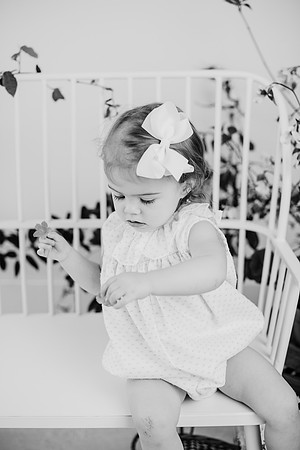 untitled-517-2