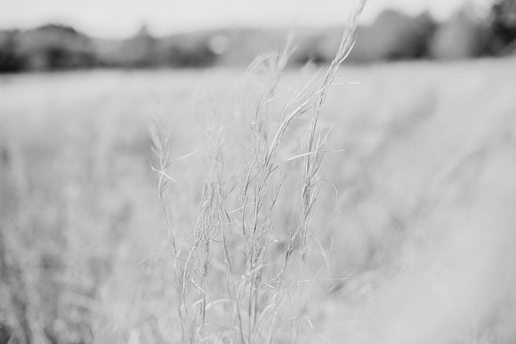 untitled-85-2