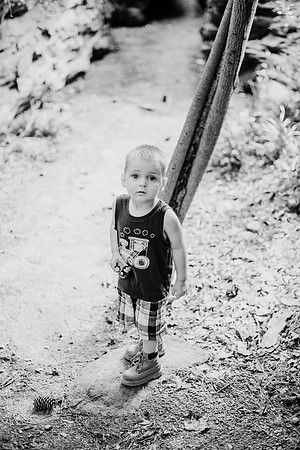 untitled-679-2