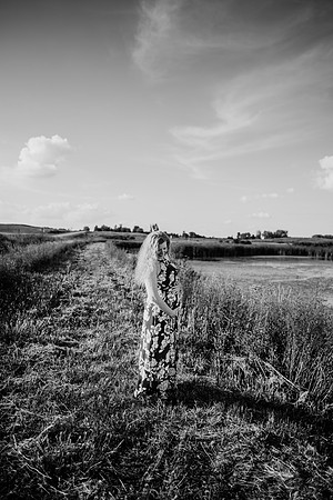 untitled-10-2