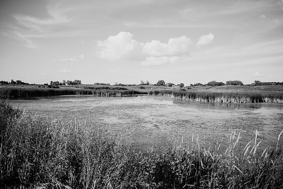 untitled-28-2