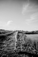 untitled-18-2