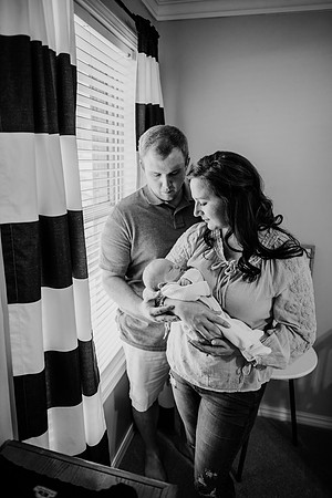 untitled-241-2