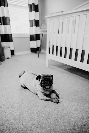 untitled-298-2