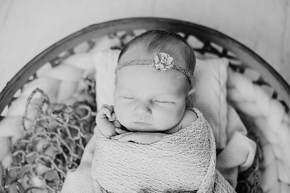 untitled-239-2