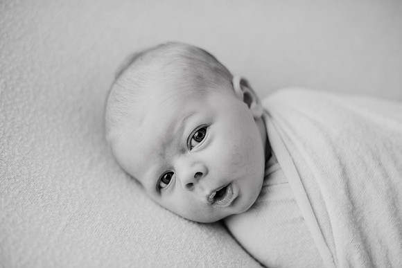 untitled-339-2
