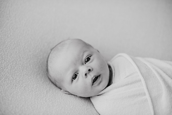 untitled-342-2
