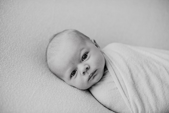 untitled-341-2