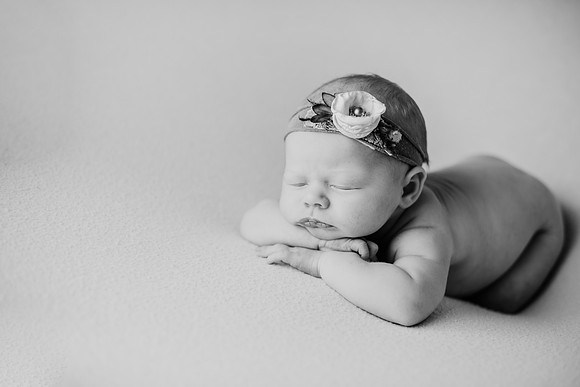 untitled-464-2
