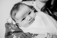 untitled-24-2