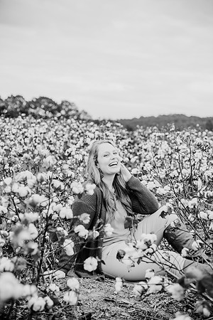 untitled-255-2
