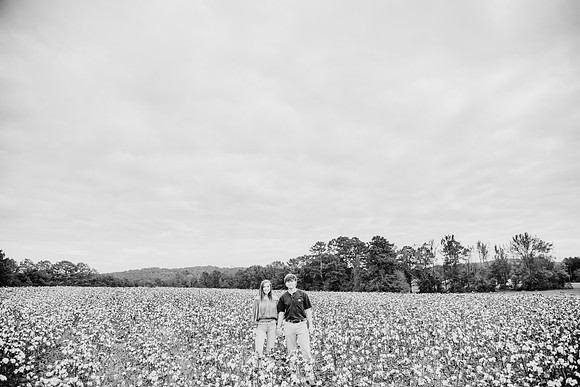 untitled-313-2