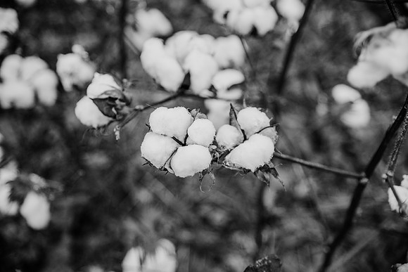 untitled-146-2
