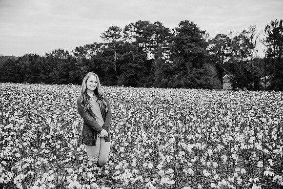 untitled-239-2
