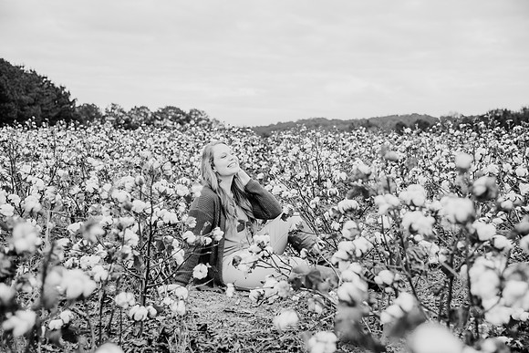 untitled-260-2