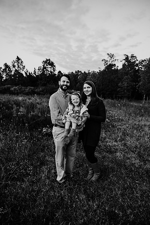 untitled-238-2