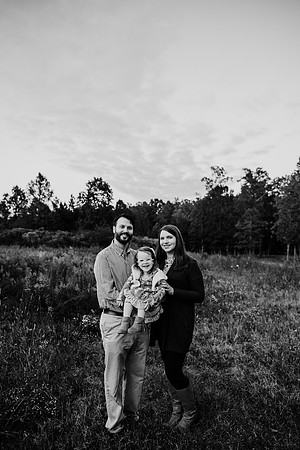untitled-233-2
