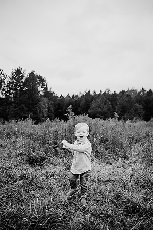 untitled-790-2