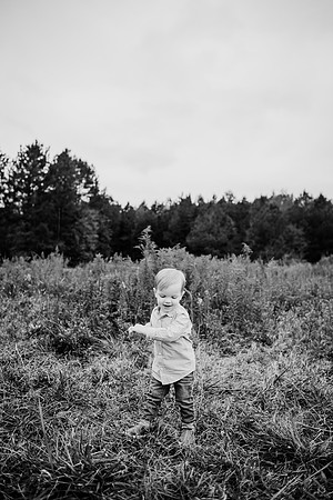 untitled-793-2