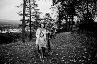 untitled-313-2